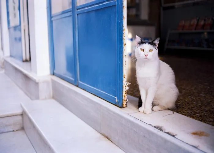 Elegant Santorini House 1 Bedroom Caldera View-outdoor Hot Willa Tholos (Santorini)